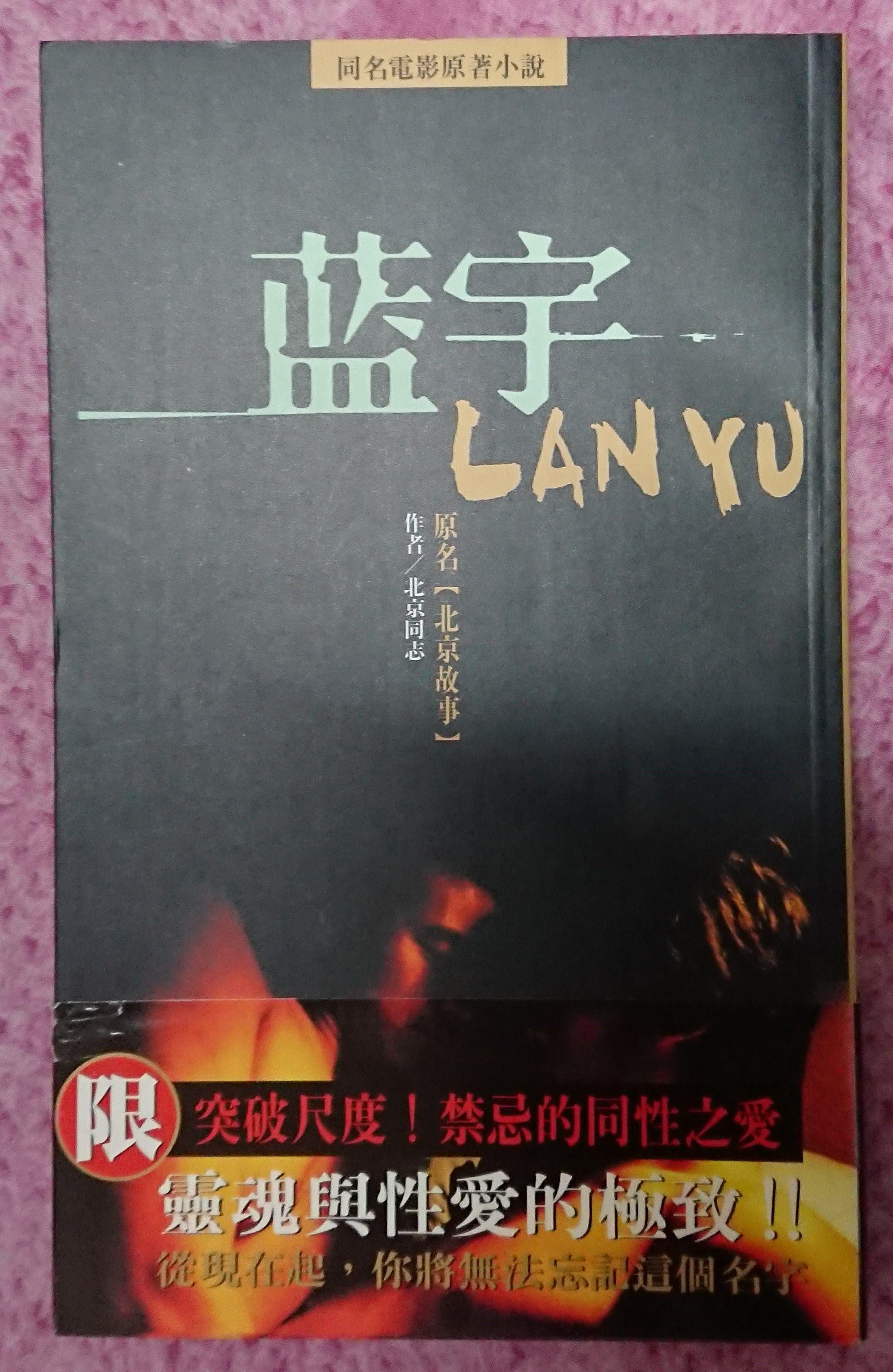 《藍宇》原著。